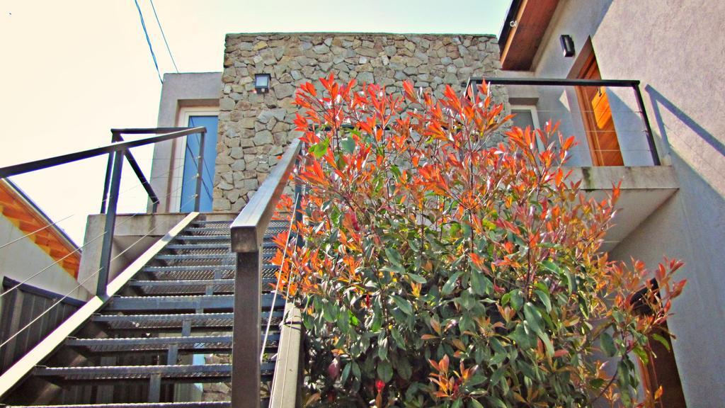 Cabanas Bajo El Nogal Villa เอลโบลซอน ภายนอก รูปภาพ